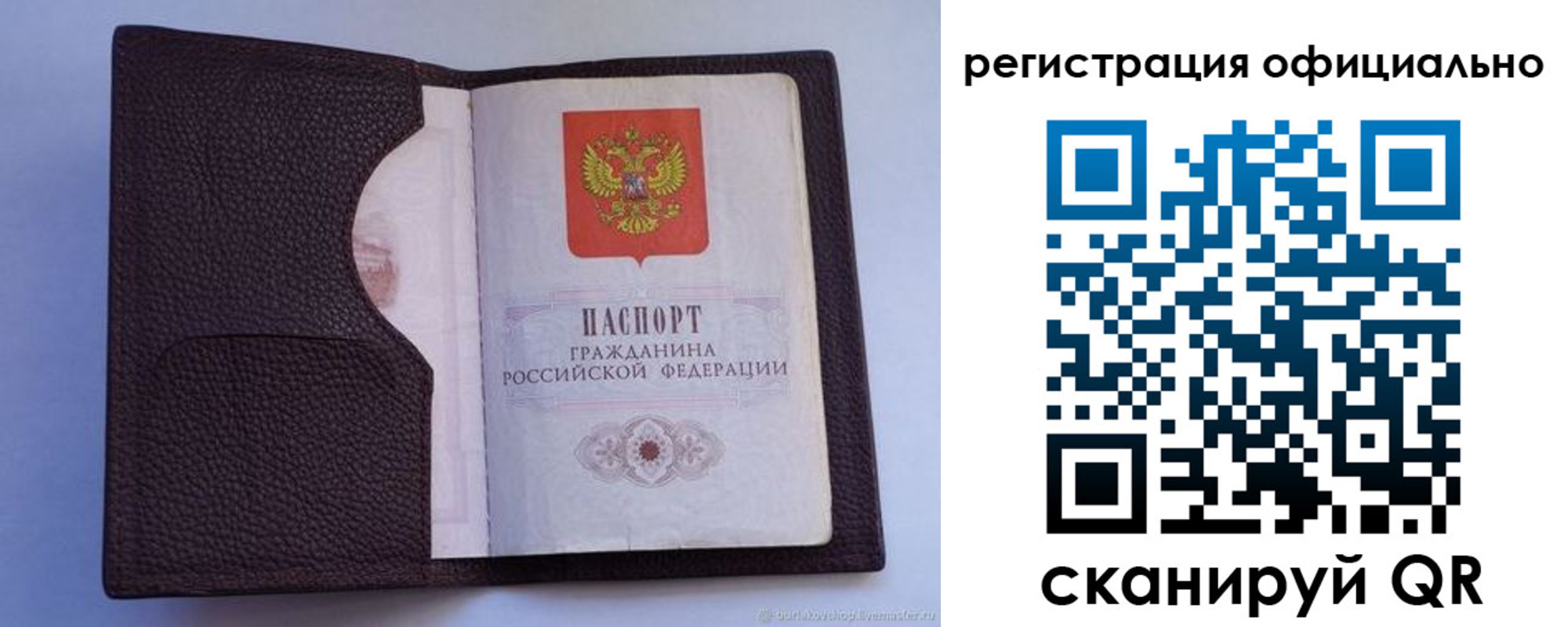 прописка гарантия в Калининграде